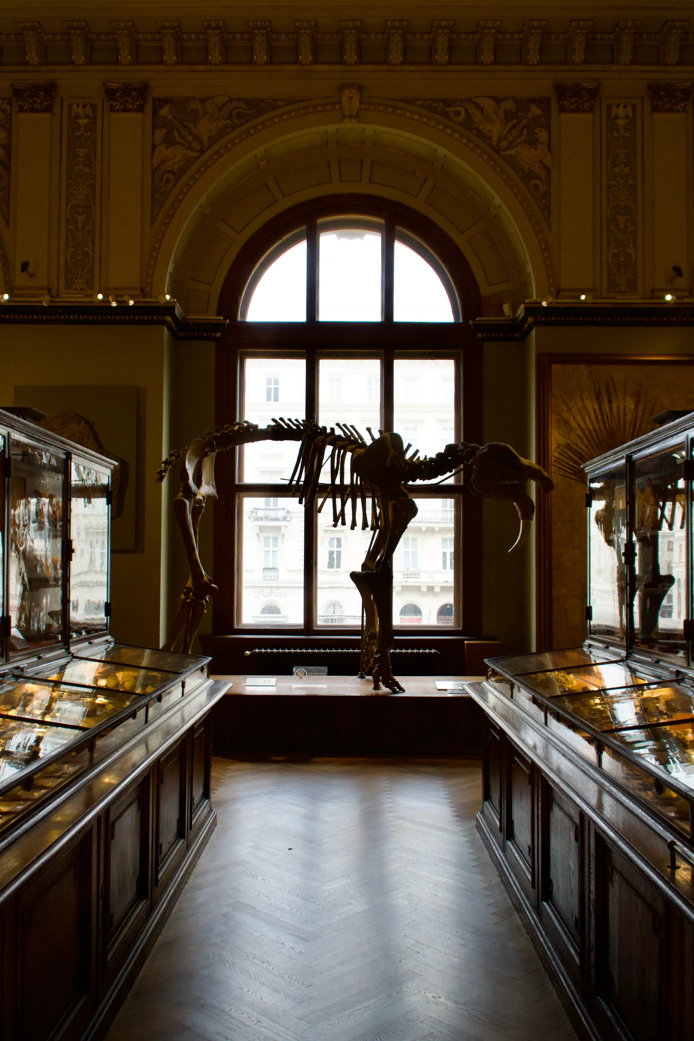 museo de historia natural01