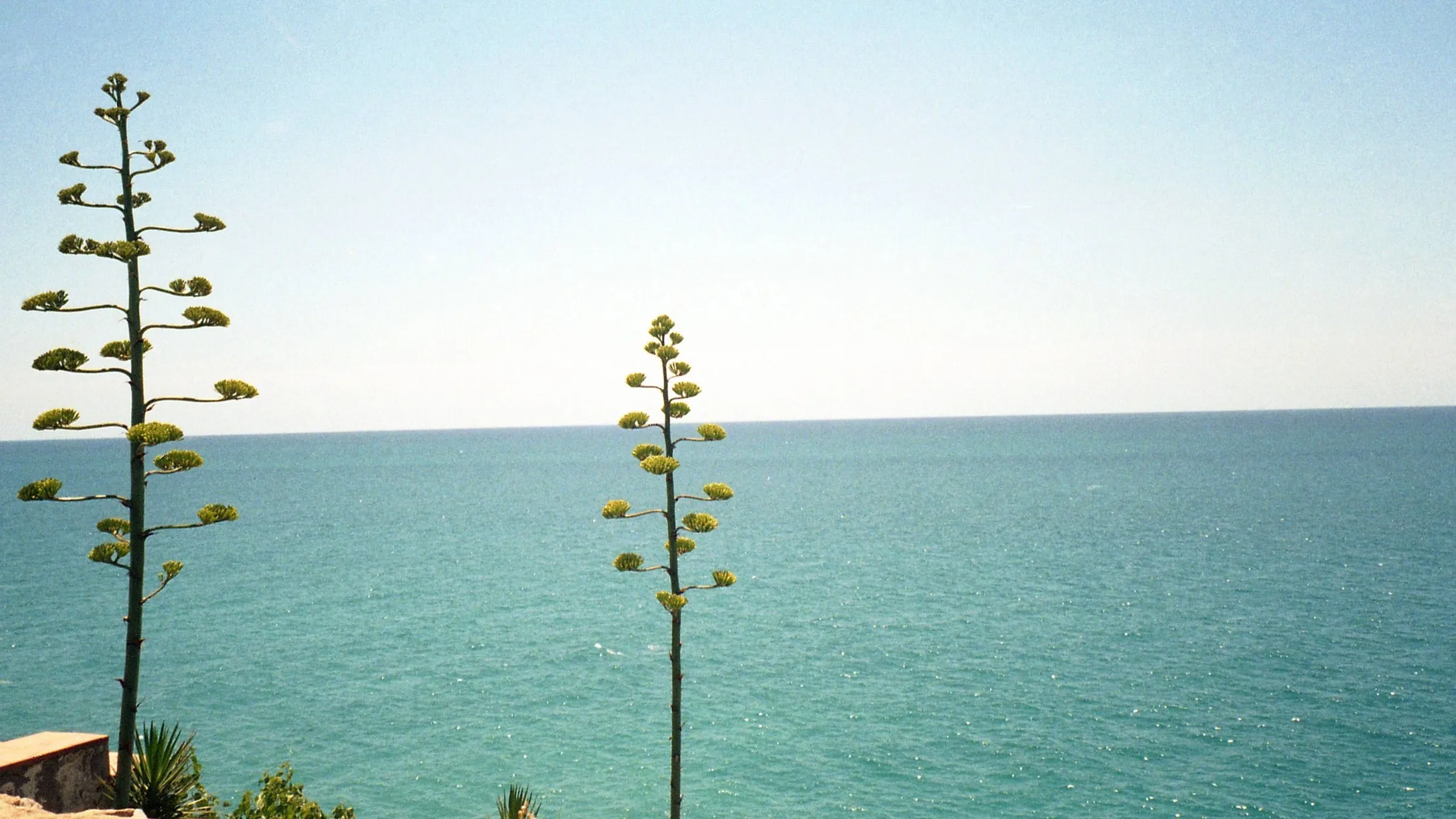 Cover for Peniscola