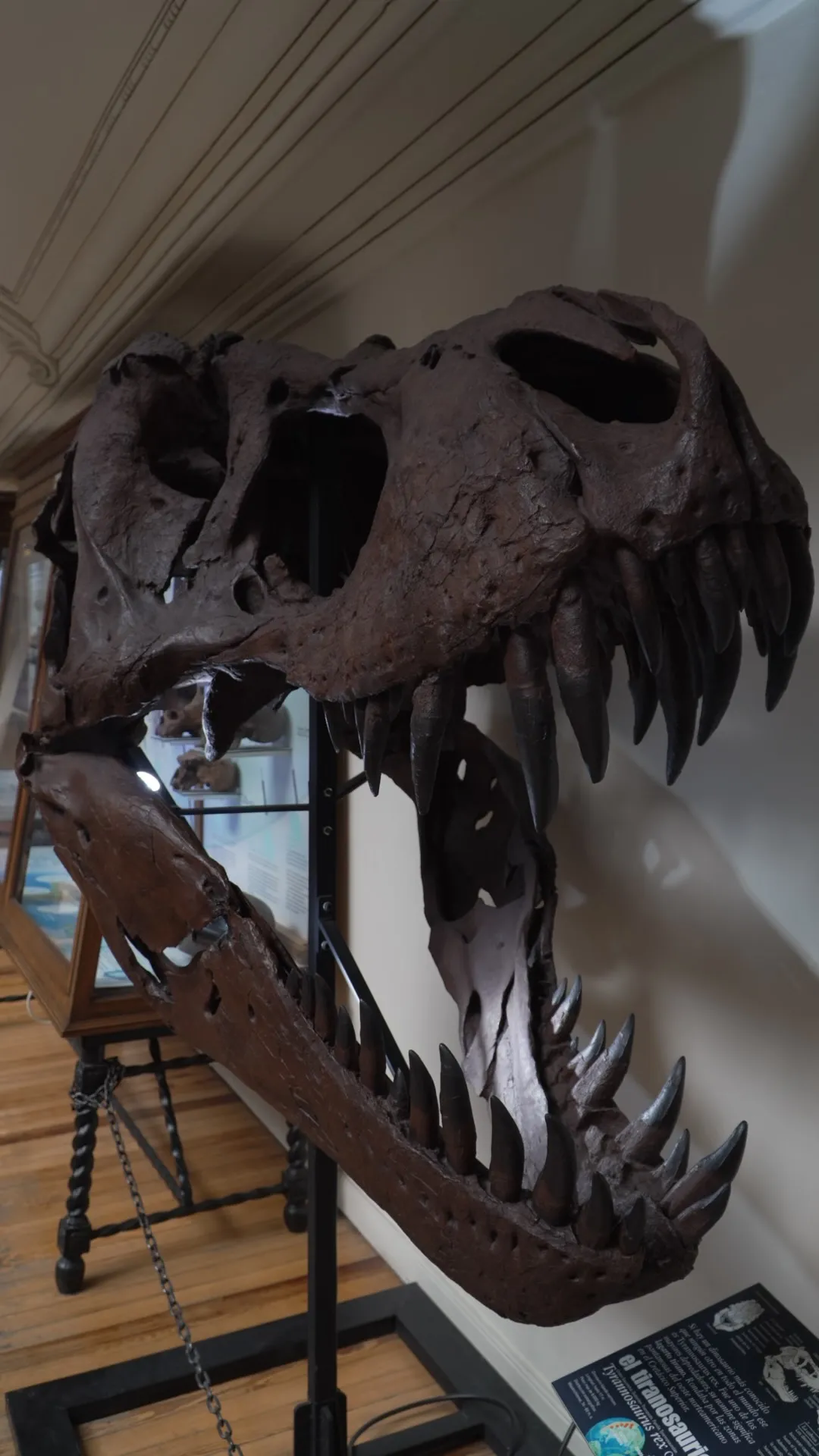 museo geominero02