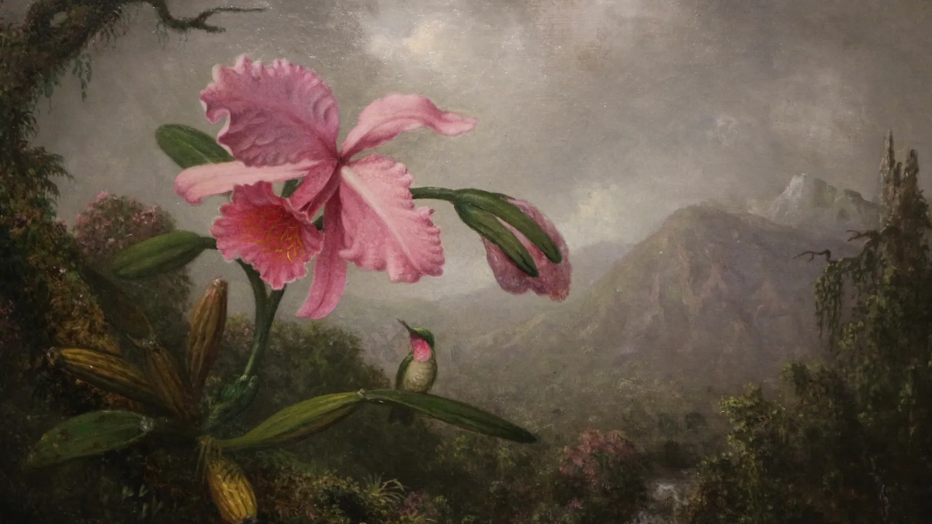 Cover for Museo Nacional Thyssen-Bornemisza