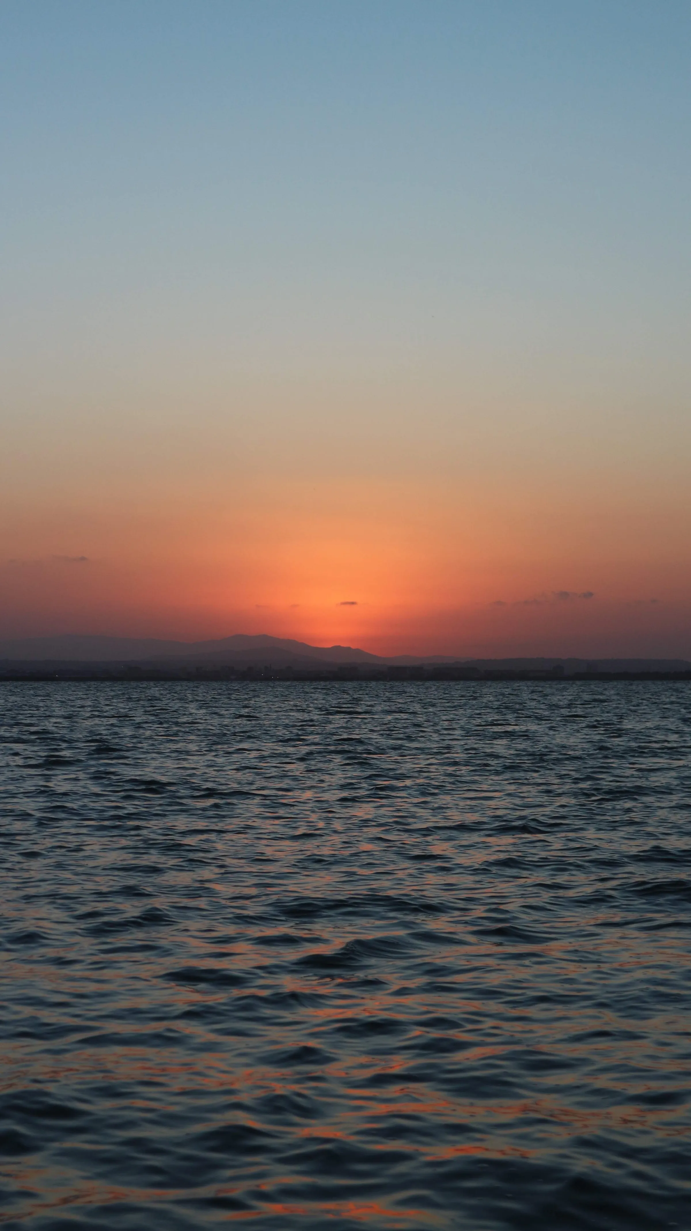 albufera03