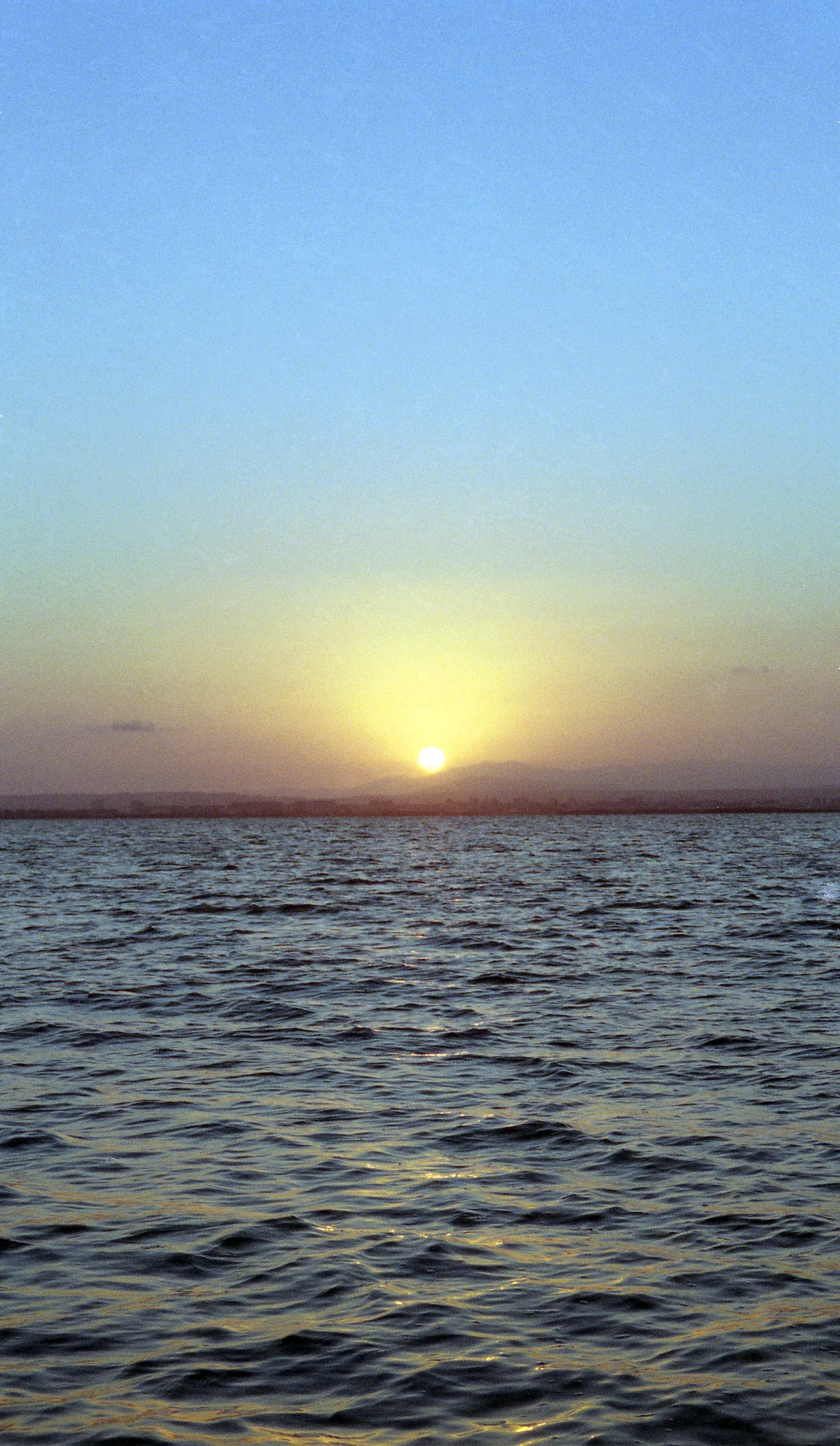 albufera04