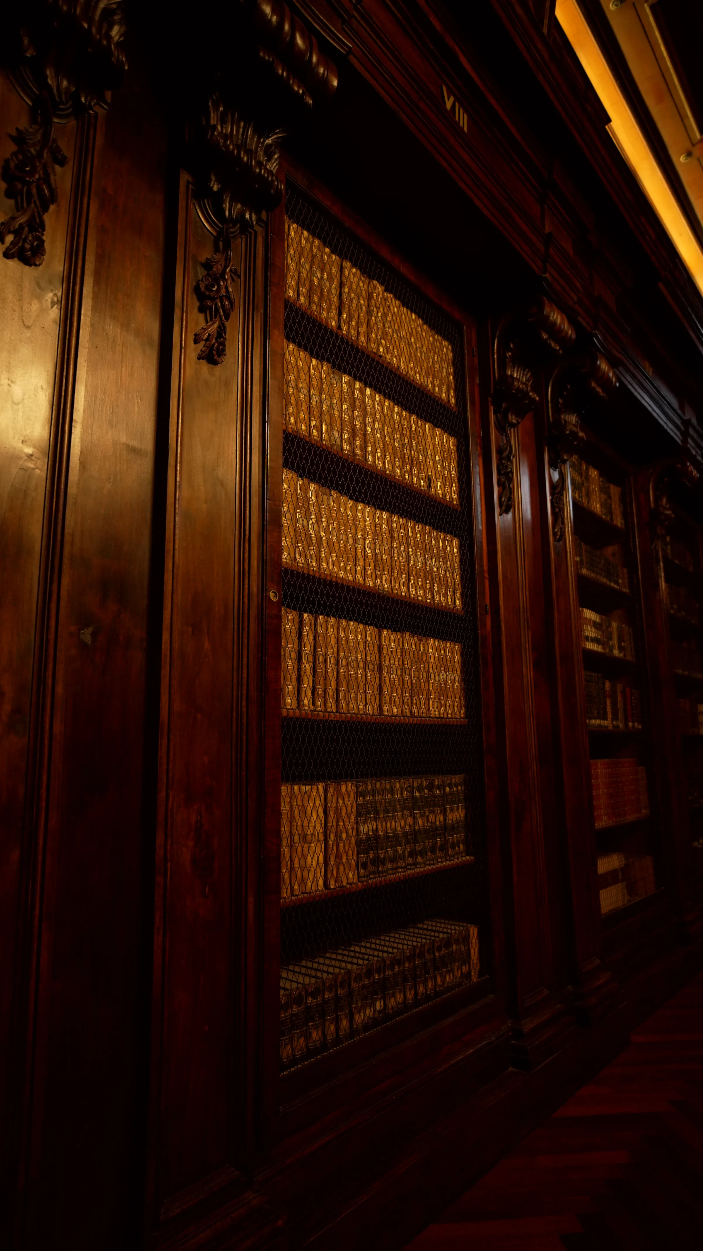 Cover for Biblioteca Alagoniana