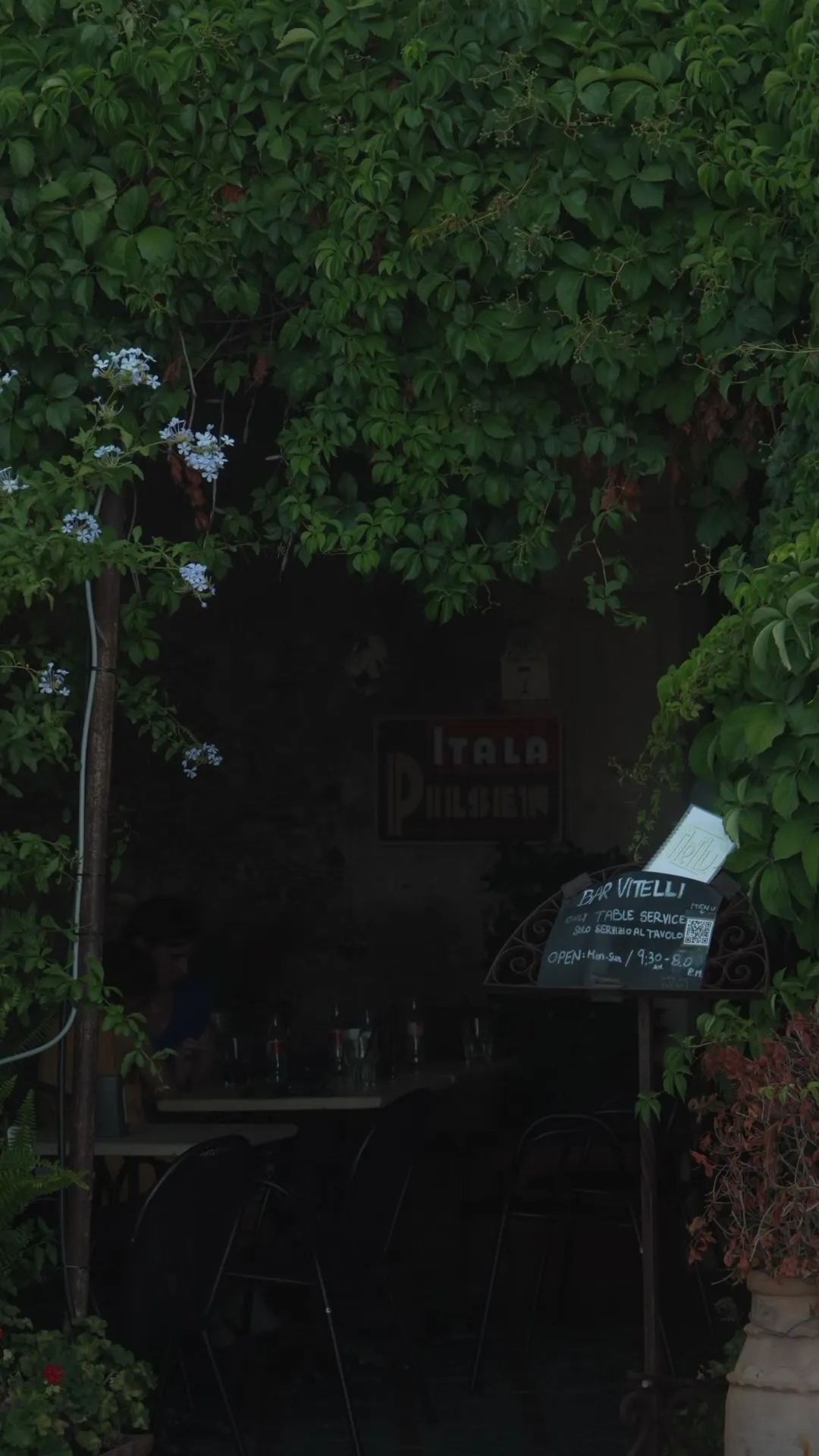 bar vitelli01