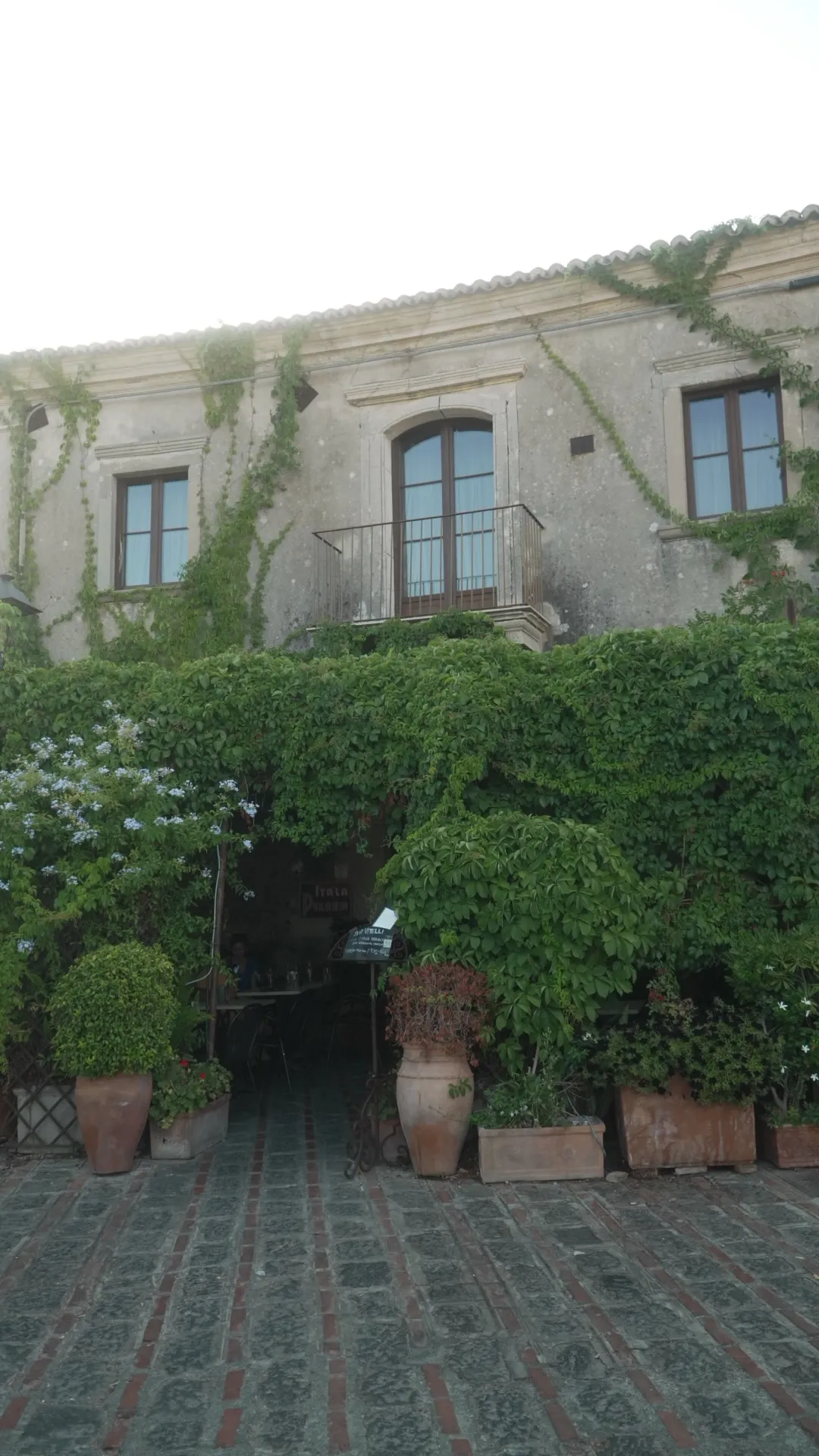 bar vitelli02