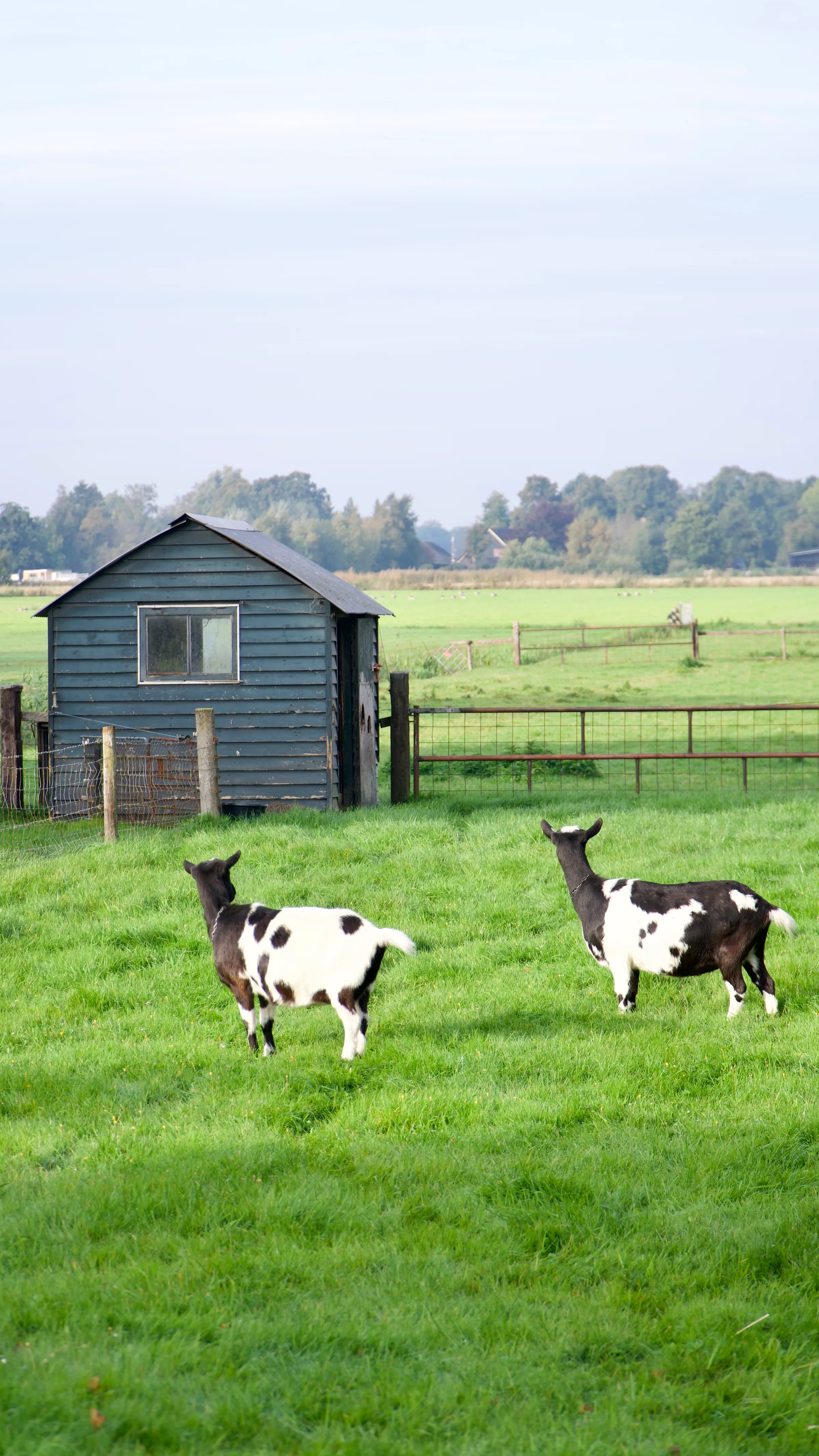 Cover for Giethoorn2